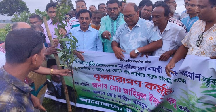 নওগাঁয় ১ হাজার বৃক্ষরোপণ কর্মসূচির উদ্বোধন করলেন এমপি ধলু